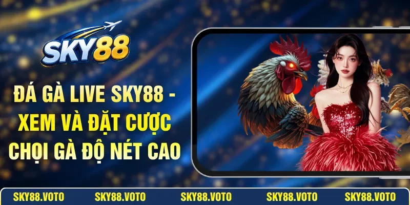 Đá Gà Live SKY88 - Xem Và Đặt Cược Chọi Gà Độ Nét Cao