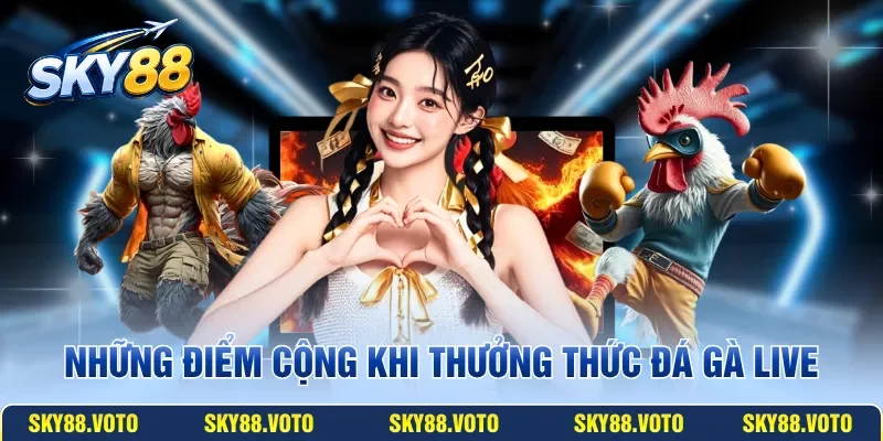 Những điểm cộng khi thưởng thức đá gà Live