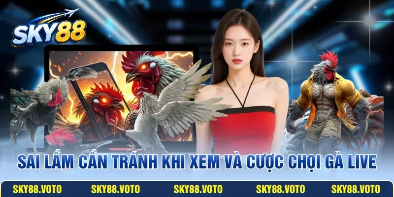 Sai lầm cần tránh khi xem và cược chọi gà Live